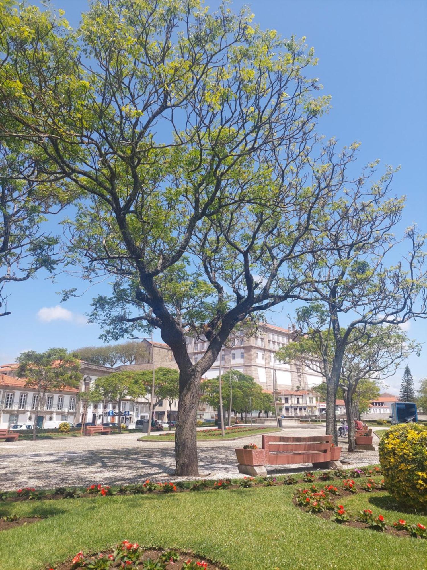 Mostarda Boutique Apartment Vila do Conde Exterior photo